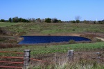 Pond at Peddicord Quarter Horses